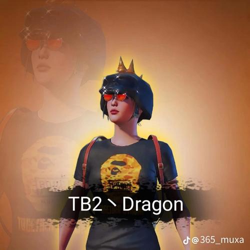 TB2丶Dragon